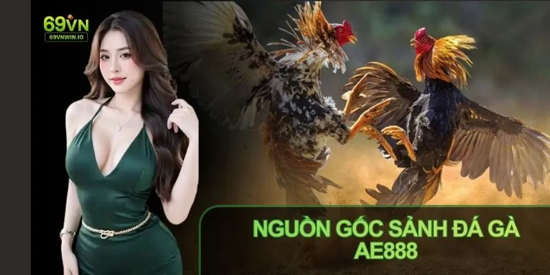 Đá gà AE888 và 69VN đều phát trực tiếp từ trường gà hợp pháp