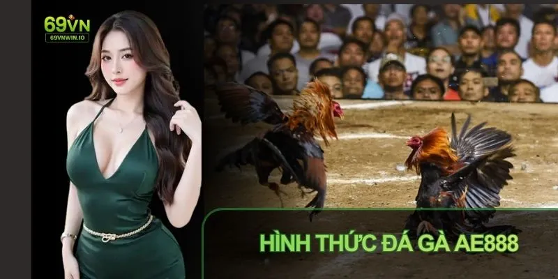 Giao diện sảnh đá gà tối ưu trên thiết bị di động