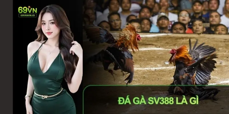Đá gà SV388sảnh game siêu hấp dẫn