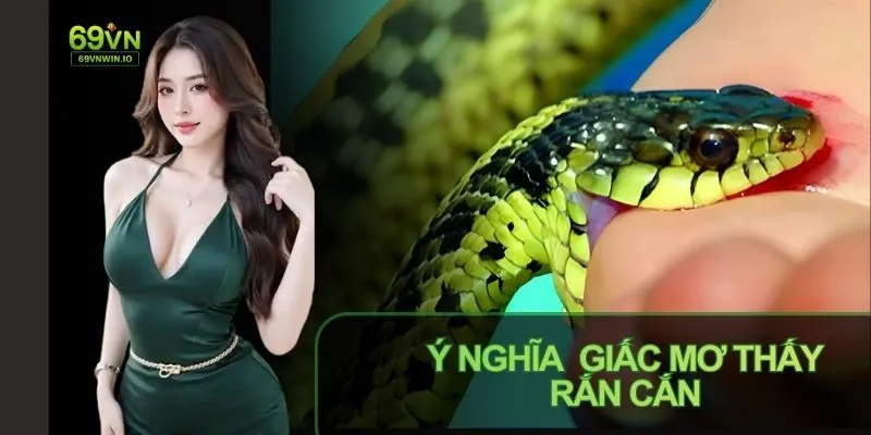 Mơ thấy rắn cắn cho thấy tiềm thức đang bị xáo trộn